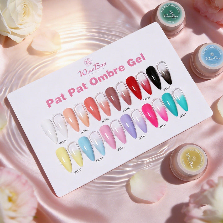 Pat pat ombre set of 12 with colour chart WowBao Nails