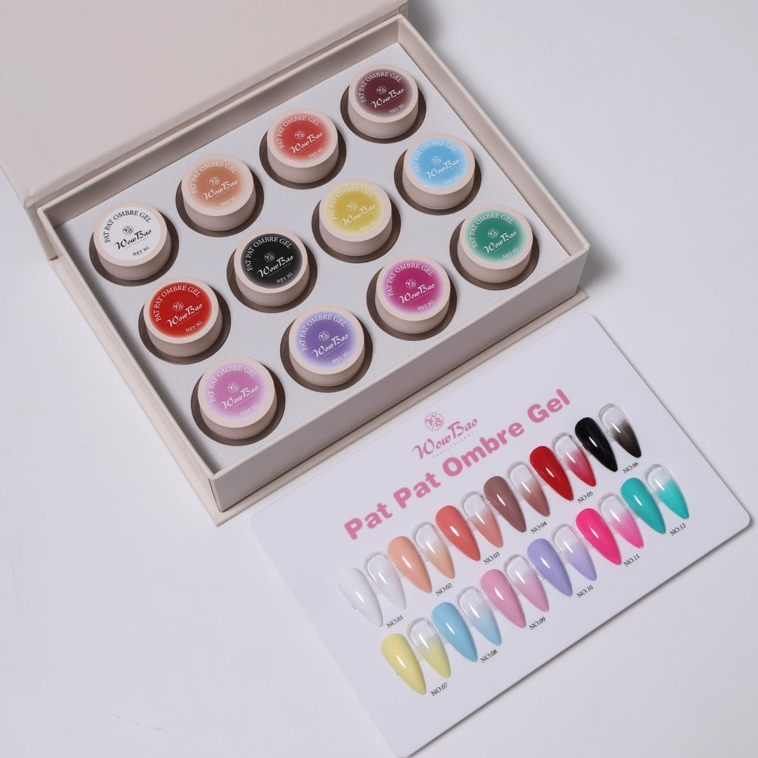 Pat pat ombre set of 12 with colour chart WowBao Nails