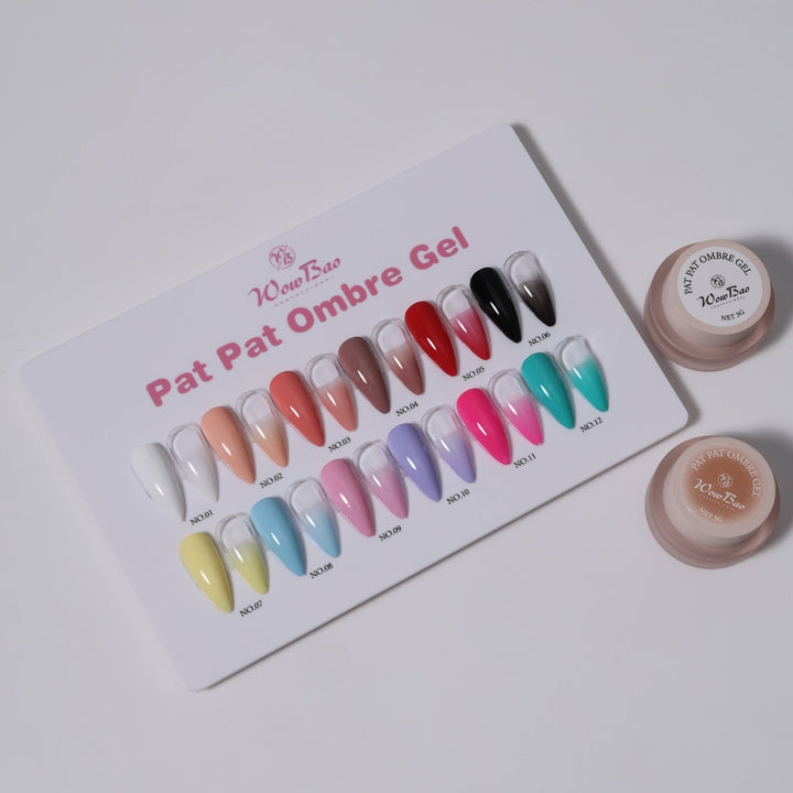 Pat pat ombre set of 12 with colour chart WowBao Nails