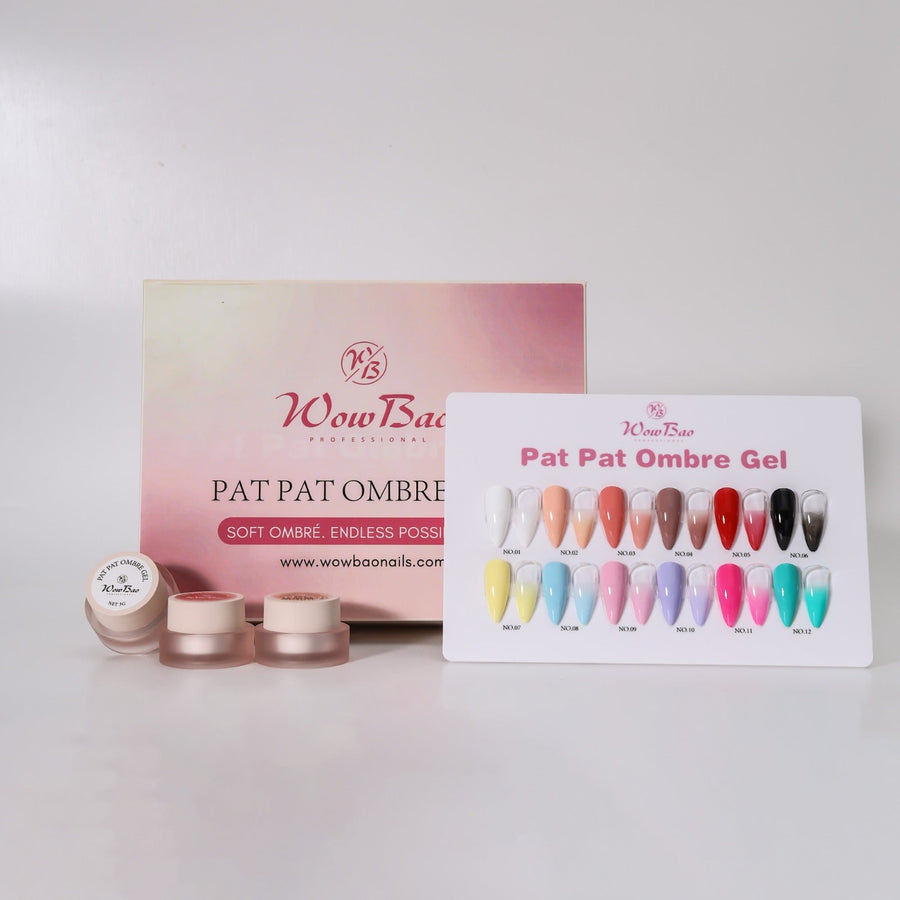 Pat pat ombre set of 12 with colour chart WowBao Nails