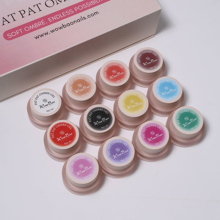 Pat pat ombre set of 12 with colour chart WowBao Nails